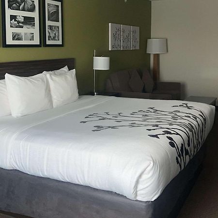 Sleep Inn & Suites Jourdanton - Pleasanton Eksteriør billede